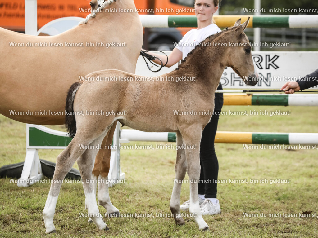 598A2387-2 | photographylinaismer - Realisiert mit Pictrs.com