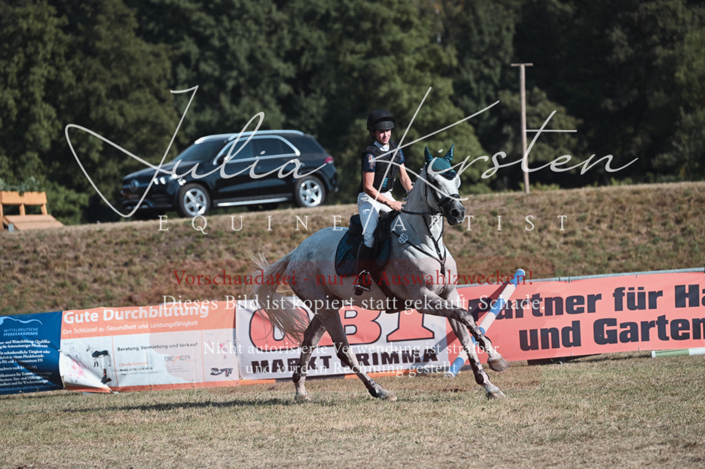 DSC_8895 | Pferde- und Turnierfotografie in Westsachsen. Pferdeportraits, Auftragszeichnungen und intuitive Kunst.