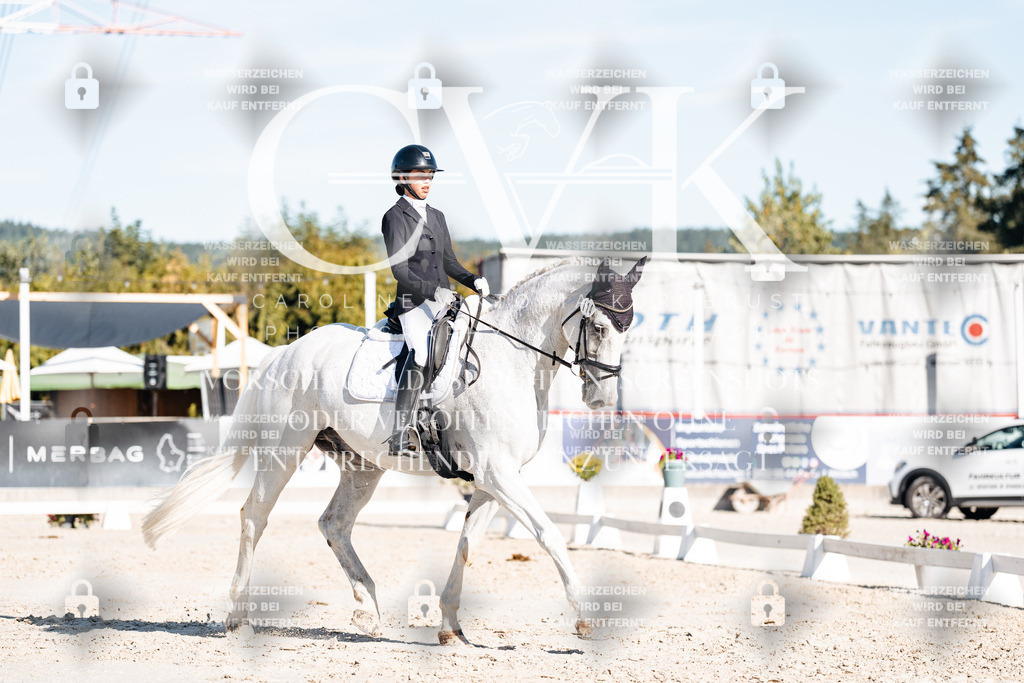 CK907573 | Turnierfotografie Pferdefotografie Trier Rheinland-Pfalz Pferdesport Reitsport Tierfotografie Sportfotografie Pferdevideo Pferdevideografie Equestrianvideography equestrianphotography  - Realisiert mit Pictrs.com