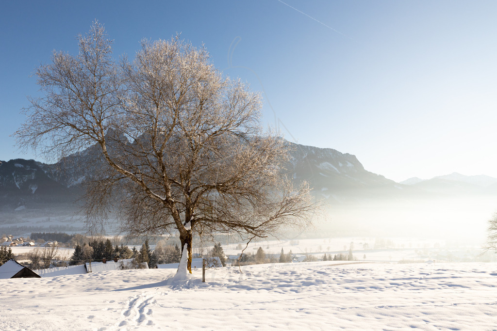 Winter im Gesäuse | Ihre Fotografin im Lungau, ihre Fotografin im Mostviertel, Wandbilder Onlineshop, Imagefotos für Ihr Unternehmen,  - Realisiert mit Pictrs.com