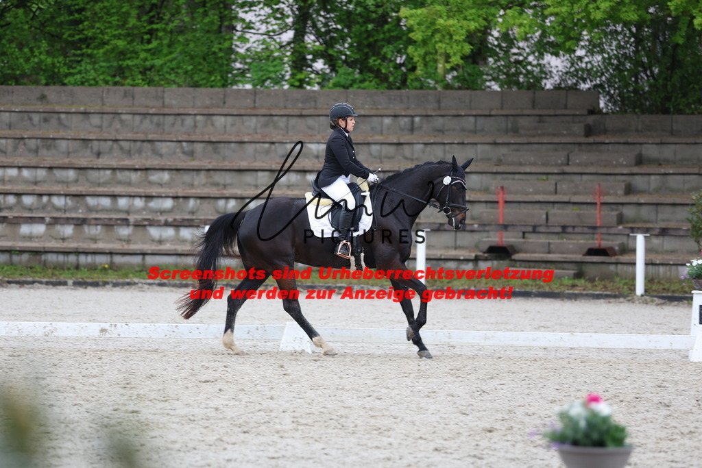 A40A9453 | lmwpictures - Realisiert mit Pictrs.com