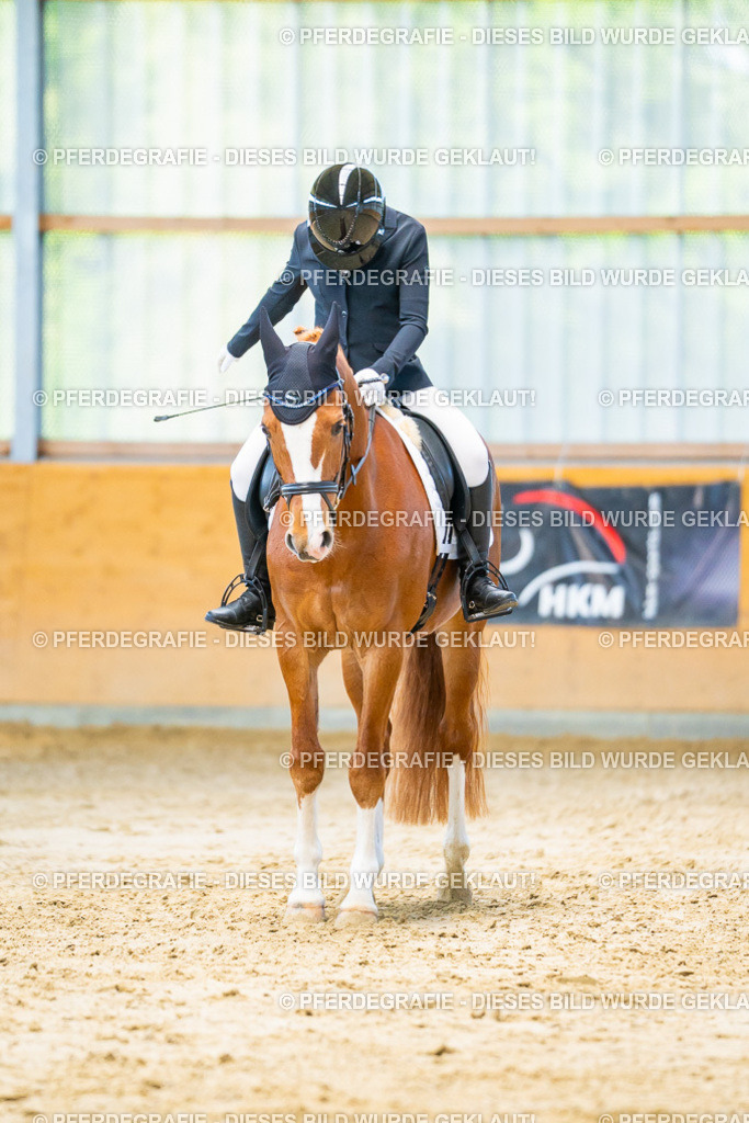 DSC06903 | Pferdegrafie