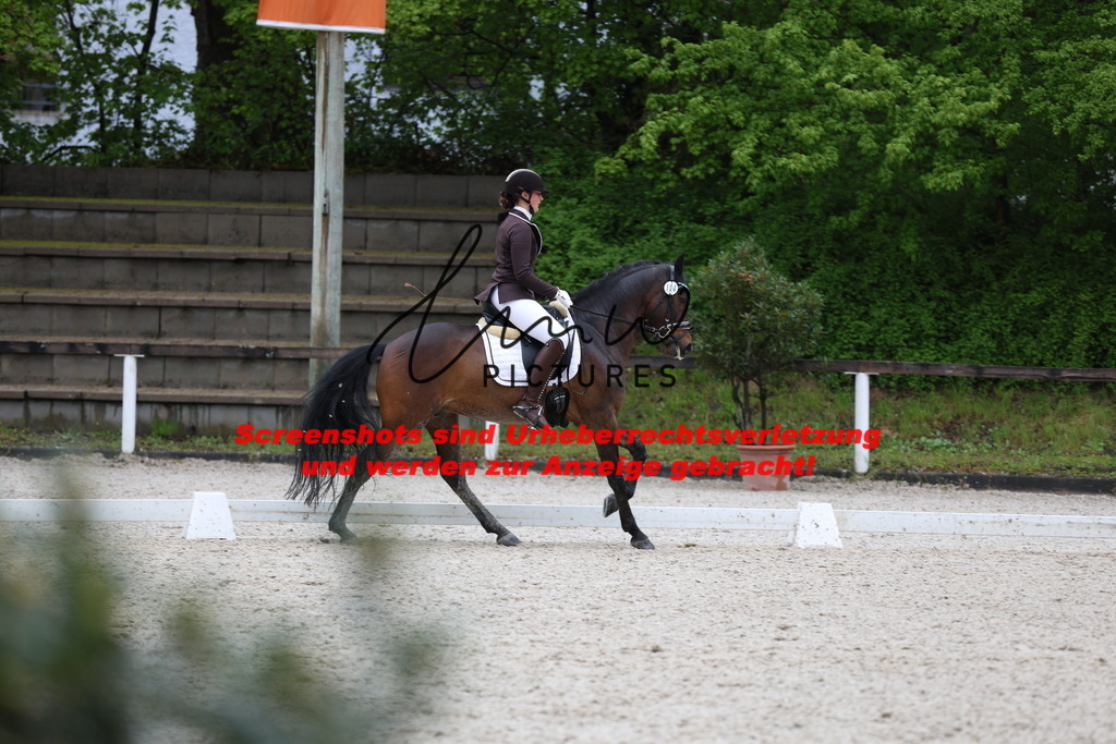 A40A9614 | lmwpictures - Realisiert mit Pictrs.com