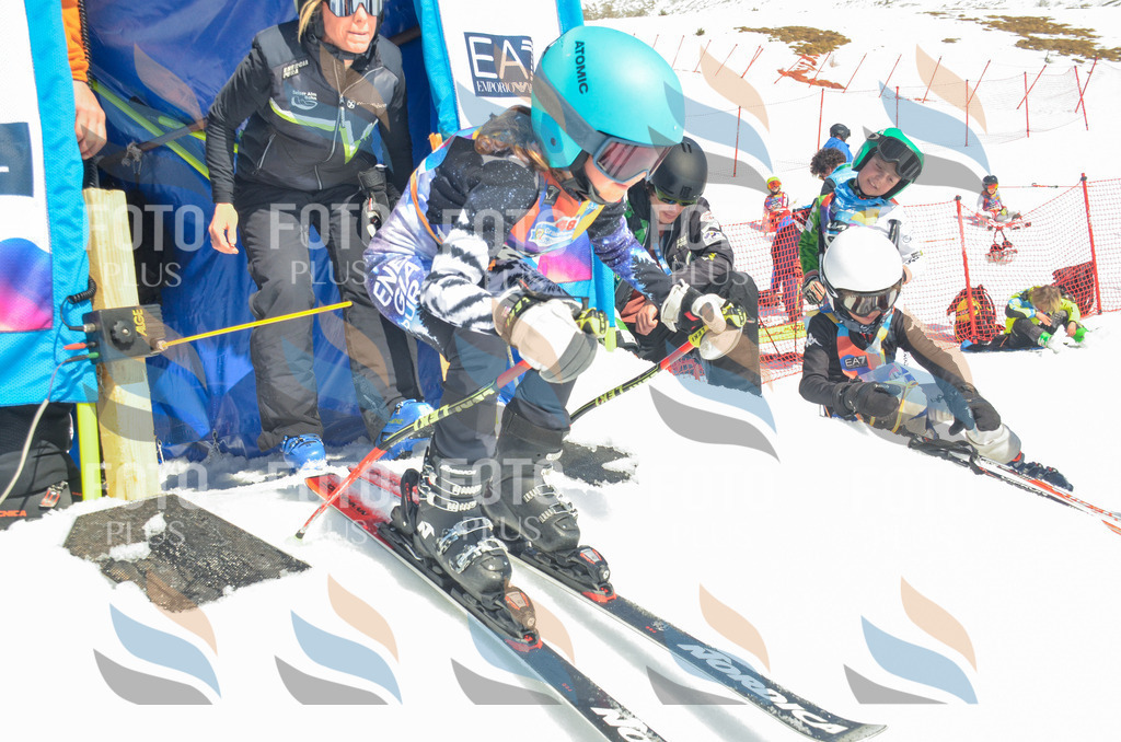 _ELE6147 | holidayphoto