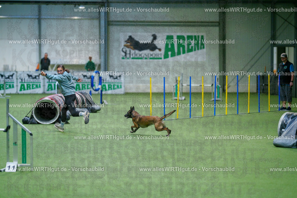 @allesWIRTHgut_Tierfotografie - www.allesWIRTHgut.de - 2604250826-7R506616 | Professionelle Tierfotografie in Mönchengladbach von Daniel Wirth (allesWIRTHgut). Liebevolle & natürliche Bilder von Hunden & Katzen für unvergessliche Erinnerungen.