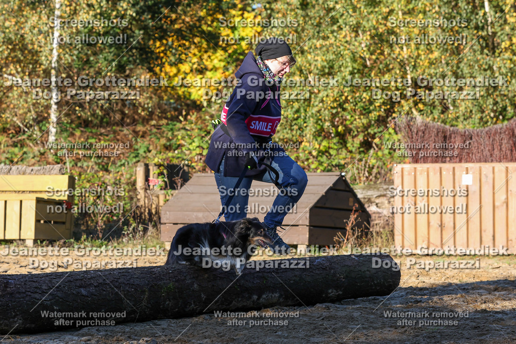 Dog Paparazzi - Strongdog 10-25-1216 | Dog Paparazzi Jeanette Grottendiek Fotografie & Videografie - Realisiert mit Pictrs.com