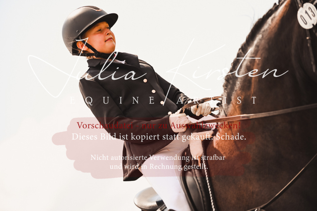 DSC_6300 | Pferde- und Turnierfotografie in Westsachsen. Pferdeportraits, Auftragszeichnungen und intuitive Kunst.