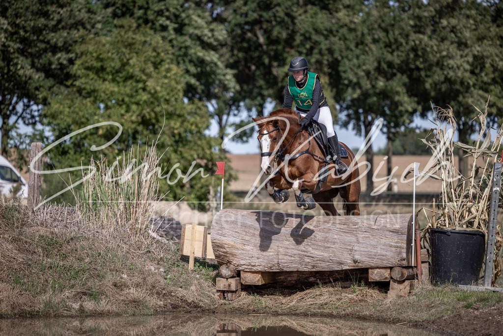 20260906-_3LI6147 | Tierfotografie Pferde, Hunde, Katzen, Haustiere.
Turnierfotografie Reitturniere, Reiten, Springreiten, Dressur in Hanau, dem Main-Kinzig-Kreis und dem Rhein-Main- Gebiet um Frankfurt