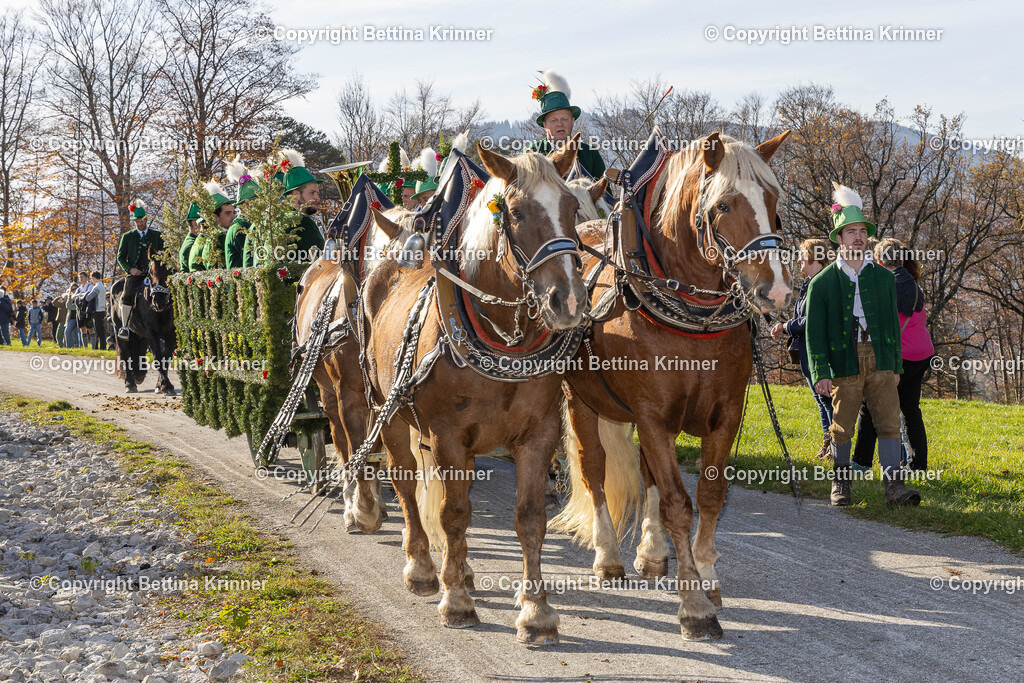 LBT24-1377 | foto-bettina-krinner - Realisiert mit Pictrs.com