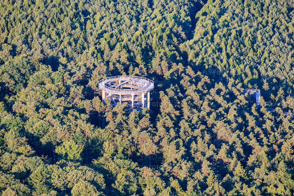 Luftbild: Baumwipfelpfad Elsass / Chemin des Cimes Alsace in Cleebourg im Bundesland Bas-Rhin in Frankreich. – Foto: IMG_157823.jpg vom 19.06.2026 durch Werner Riehm/FLY-FOTO.de – Auflösung des Originals: 5863 x 3908 px – Le Chemin des Cimes Alsace