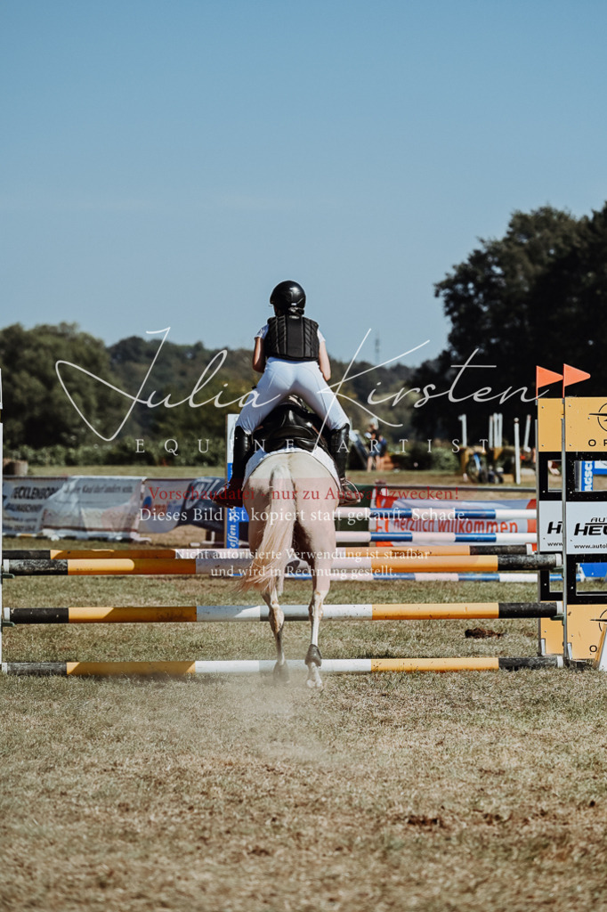 DSC_9930 | Pferde- und Turnierfotografie in Westsachsen. Pferdeportraits, Auftragszeichnungen und intuitive Kunst.