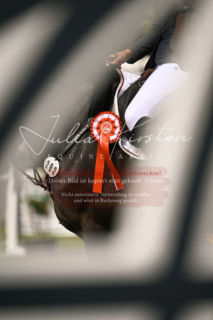 DSC_0710 | Pferde- und Turnierfotografie in Westsachsen. Pferdeportraits, Auftragszeichnungen und intuitive Kunst.
