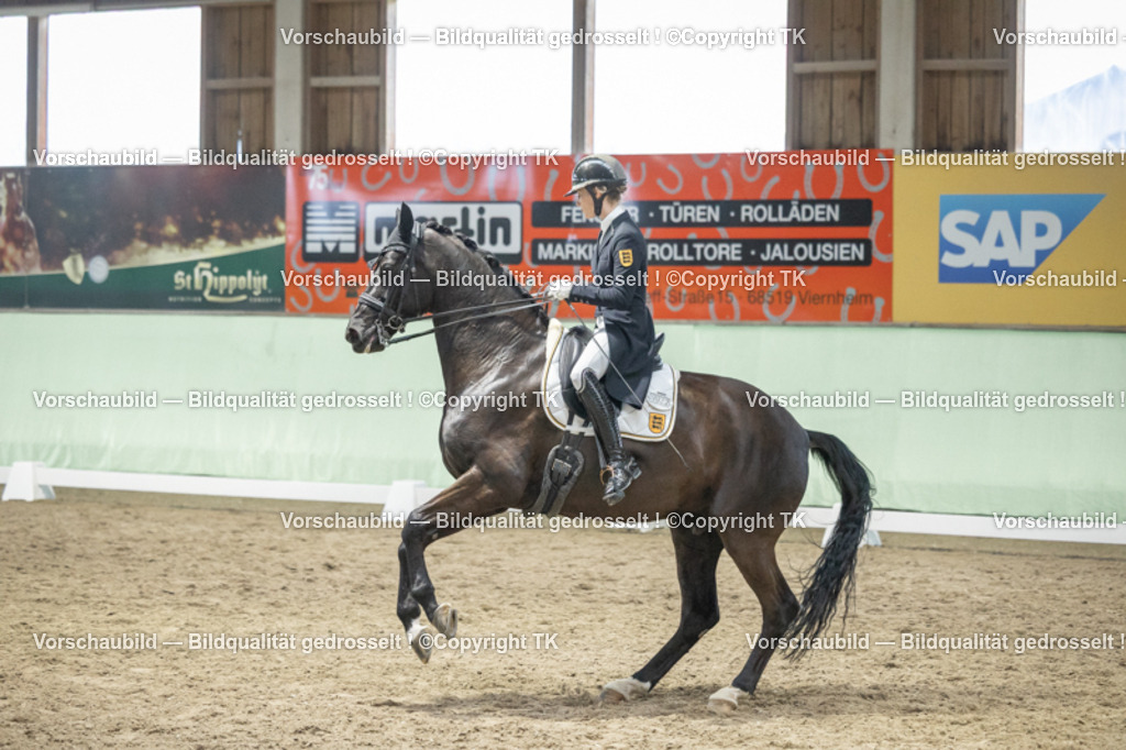 _D5A6983 | Emotionale Pferde- & People-Fotografie rund um Heidelberg, Leimen & Umgebung. Natürliche Fotos von Pferd, Mensch & Familie. Jetzt Termin sichern!