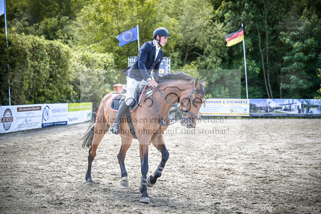 DOS_2980 | Entdecke hochwertige Reitturnierfotos von Foto Oger. Professionell, emotional und authentisch – jetzt Lieblingsmomente im Shop bestellen. - Realized with Pictrs.com