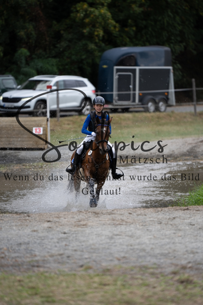 A7V01388 | Pferdefotograf