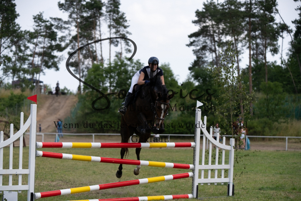 A7V07444 | Pferdefotograf