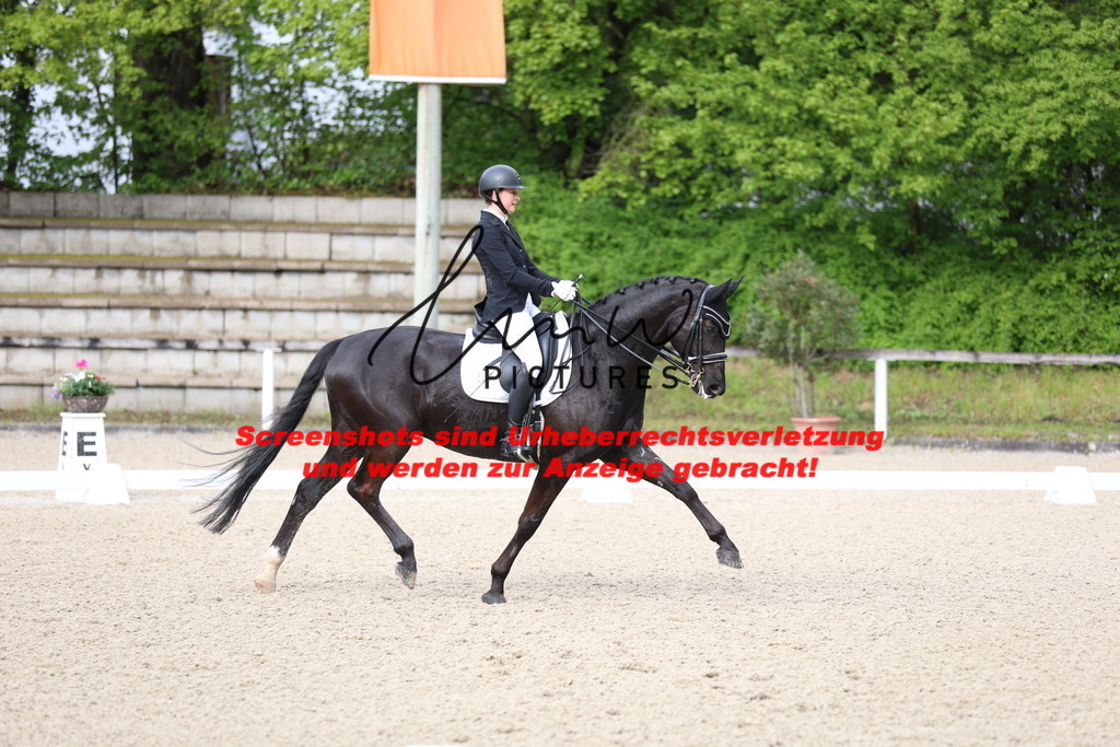 A40A0471 | lmwpictures - Realisiert mit Pictrs.com