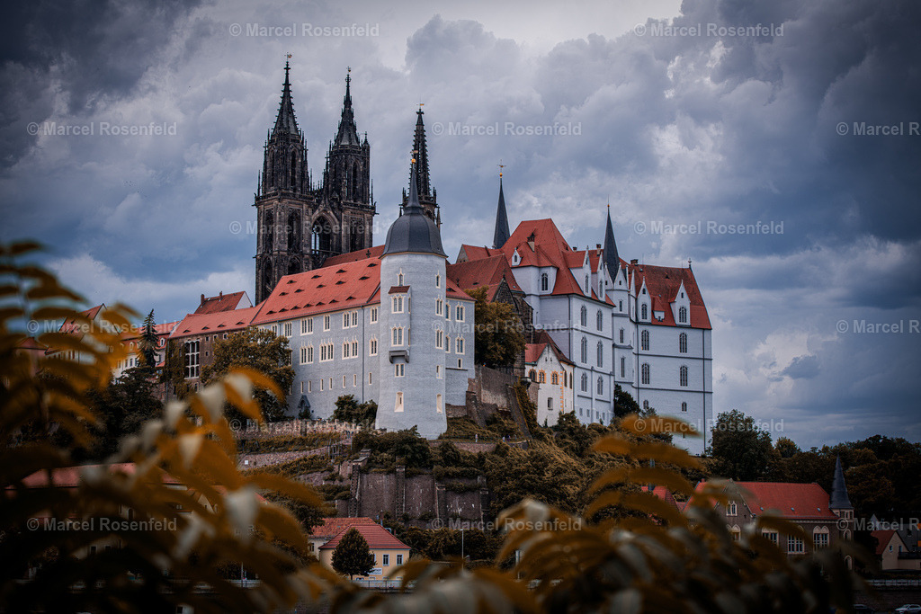 _DSC7260 | foto-rosenfeld