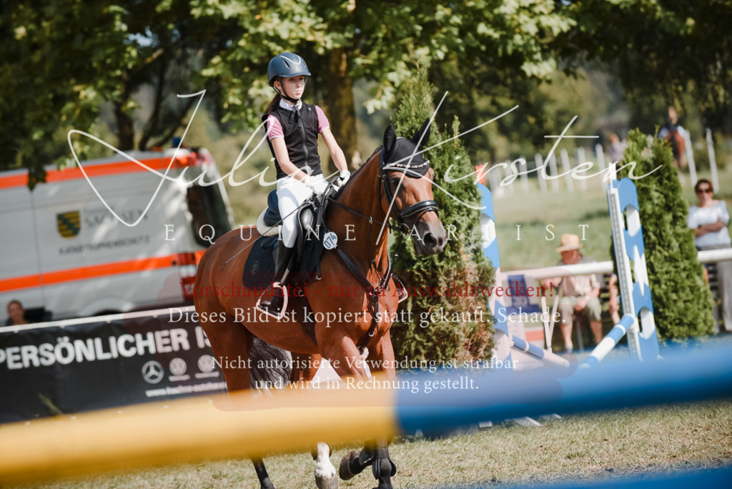 DSC_5388 | Pferde- und Turnierfotografie in Westsachsen. Pferdeportraits, Auftragszeichnungen und intuitive Kunst.