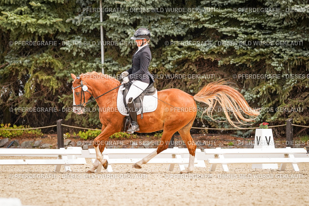 DSC02099 | Pferdegrafie