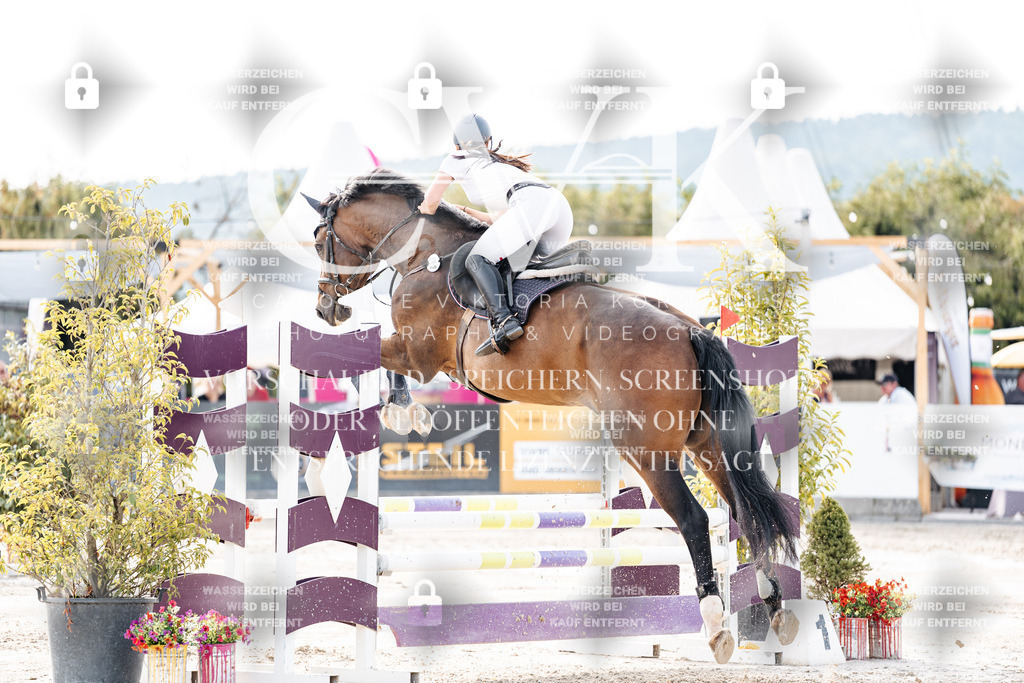 CK906407 | Turnierfotografie Pferdefotografie Trier Rheinland-Pfalz Pferdesport Reitsport Tierfotografie Sportfotografie Pferdevideo Pferdevideografie Equestrianvideography equestrianphotography  - Realisiert mit Pictrs.com