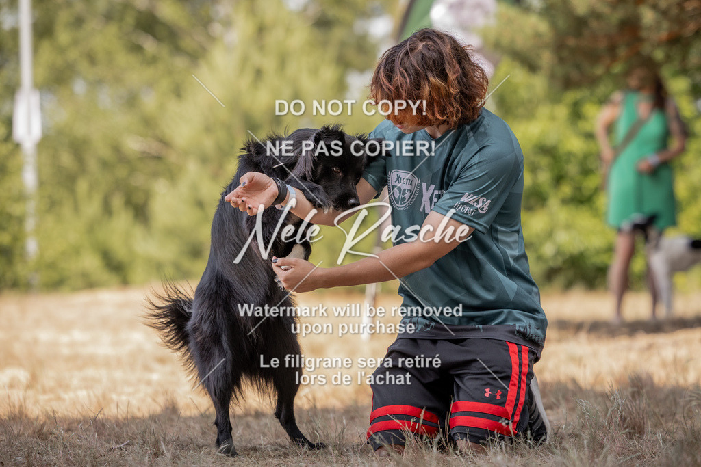 nelerasche_soDD2_325 | nelerasche