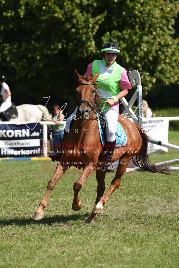 DSC_0423 | Pferde- und Turnierfotografie in Westsachsen. Pferdeportraits, Auftragszeichnungen und intuitive Kunst.