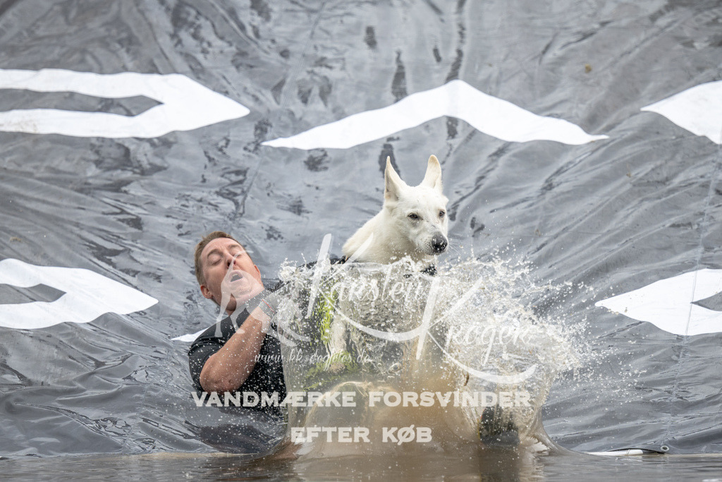 1409_ZZ94569 | kk-dogfotos