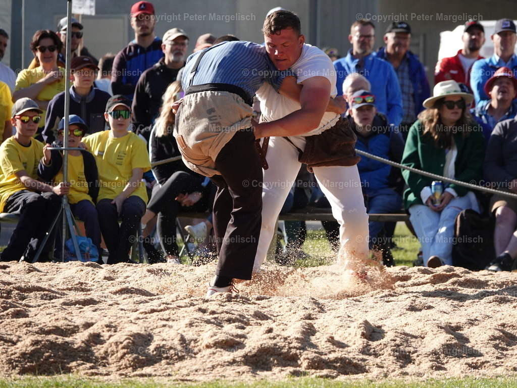 DSC07354 | Schwingen - Realisiert mit Pictrs.com