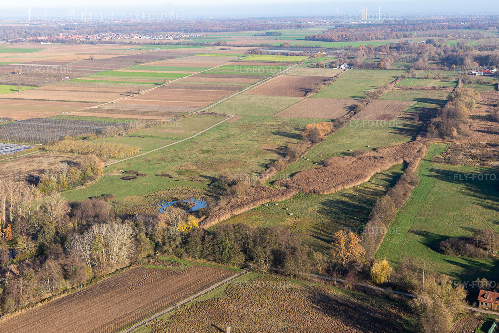 Luftbild: Billigheimer Bruch, Erlenbachtal zwischen Barbelroth, Hergersweiler und Winden im Ortsteil Mühlhofen in Billigheim-Ingenheim im Bundesland Rheinland-Pfalz in Deutschland. Foto: IMG_123894.jpg vom 21.11.2020 durch Werner Riehm/FLY-FOTO.de