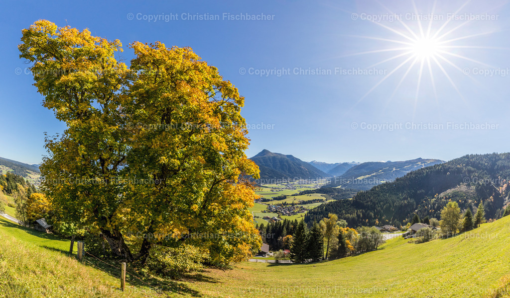 Fotos_Copyright_Chri_Fischbacher_Druck-274 | Bildershop Chri Fischbacher - Realisiert mit Pictrs.com