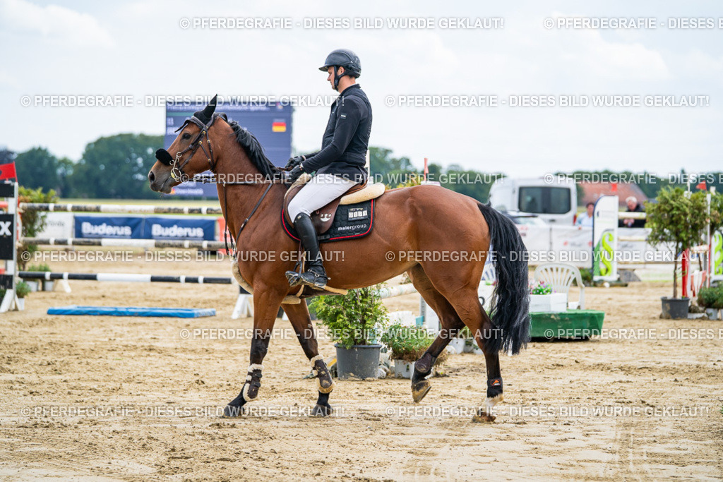 DSC06910 | Pferdegrafie