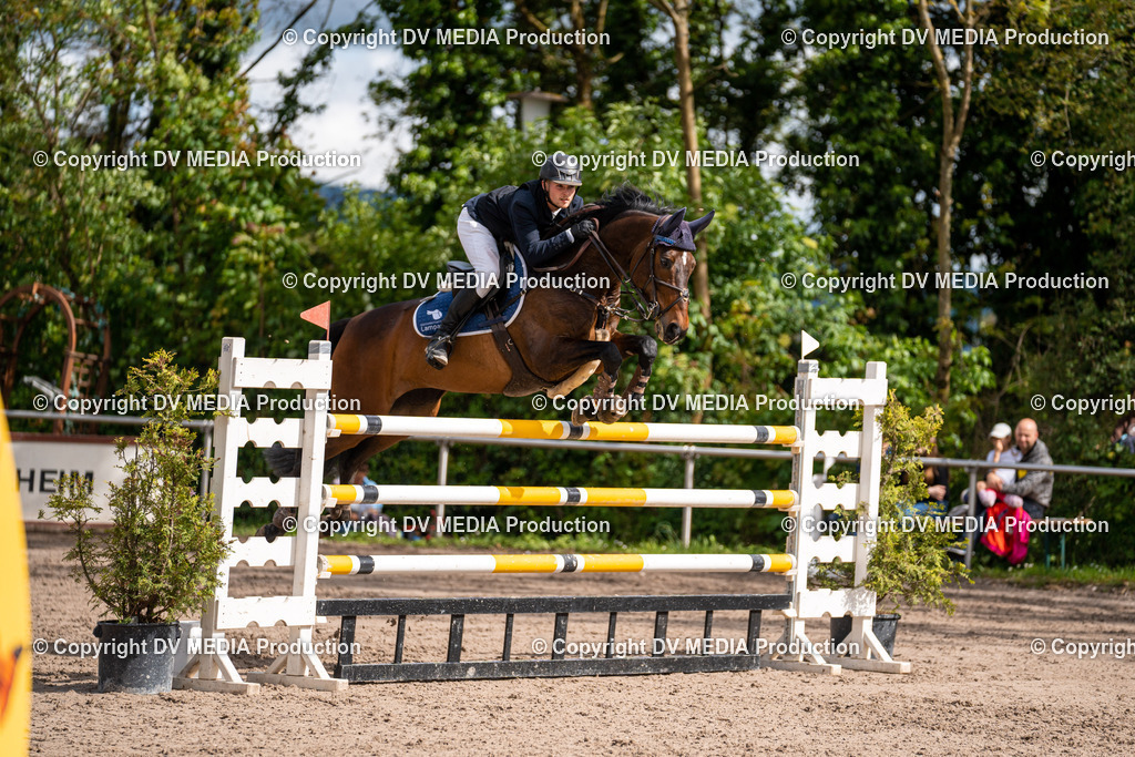 Eppelheim Tag 3-303 | dv-media-shop - Realisiert mit Pictrs.com