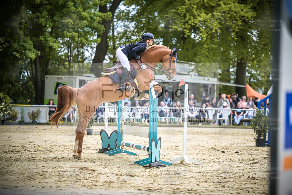 DOS_1218 | Entdecke hochwertige Reitturnierfotos von Foto Oger. Professionell, emotional und authentisch – jetzt Lieblingsmomente im Shop bestellen. - Realisiert mit Pictrs.com