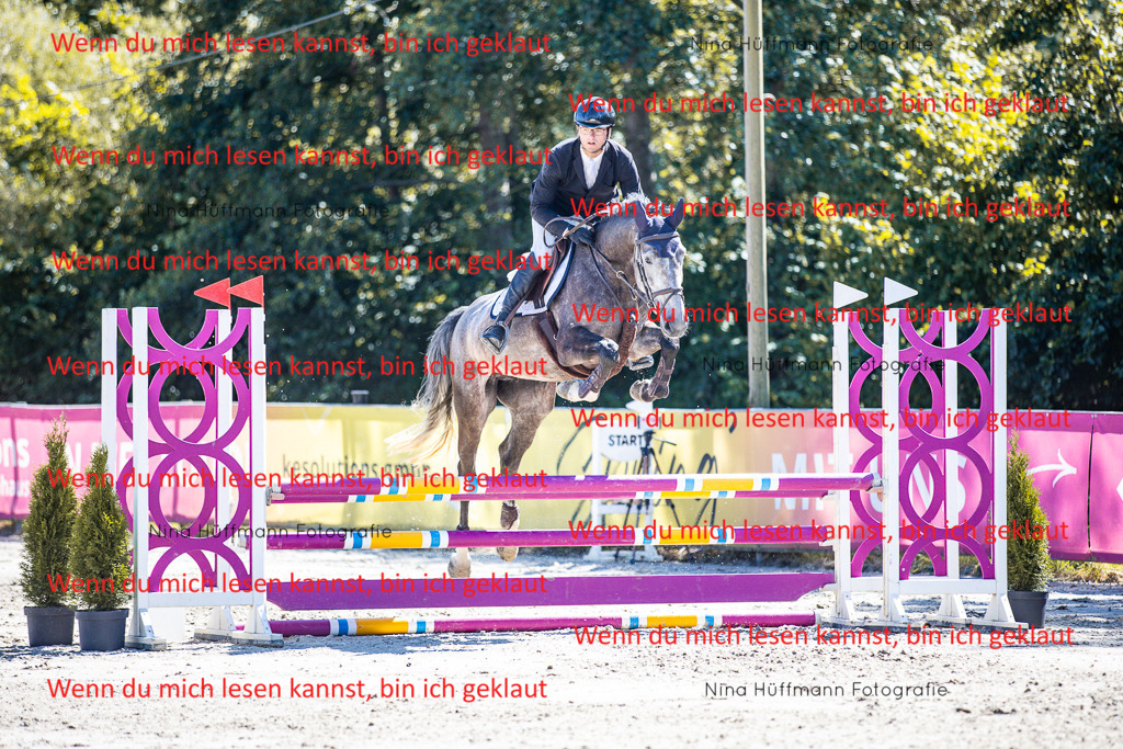BK1A5534 | Turnierbilder Turnierfotos Nina Hüffmann Turnierfotografie Pferdefotografie Tierzeichnung Haustierzeichnung Pferdezeichnung Hundezeichnung Videograf  - Realisiert mit Pictrs.com