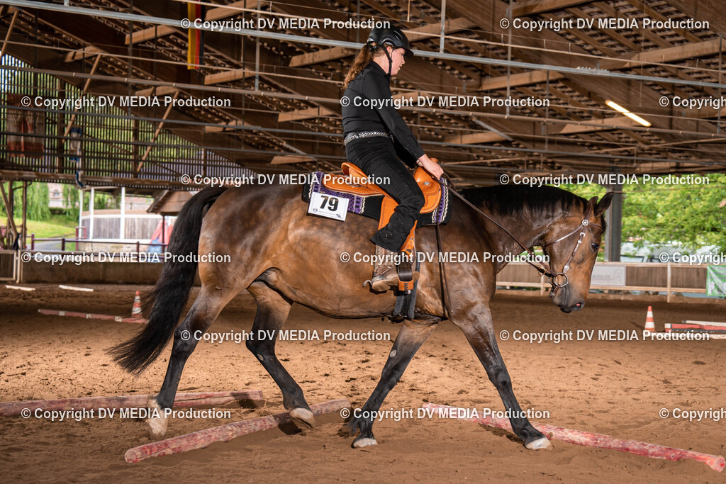 Erbach Tag 1-078 | dv-media-shop - Realisiert mit Pictrs.com