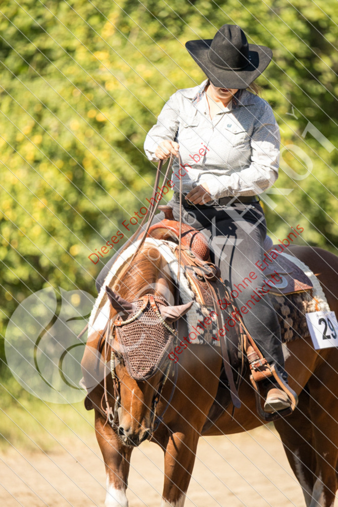 IMG_7447 | Sport-, Event- und Tierfotos in Profiqualität. Einfach auswählen, bestellen und herunterladen. Dein Moment – perfekt festgehalten.