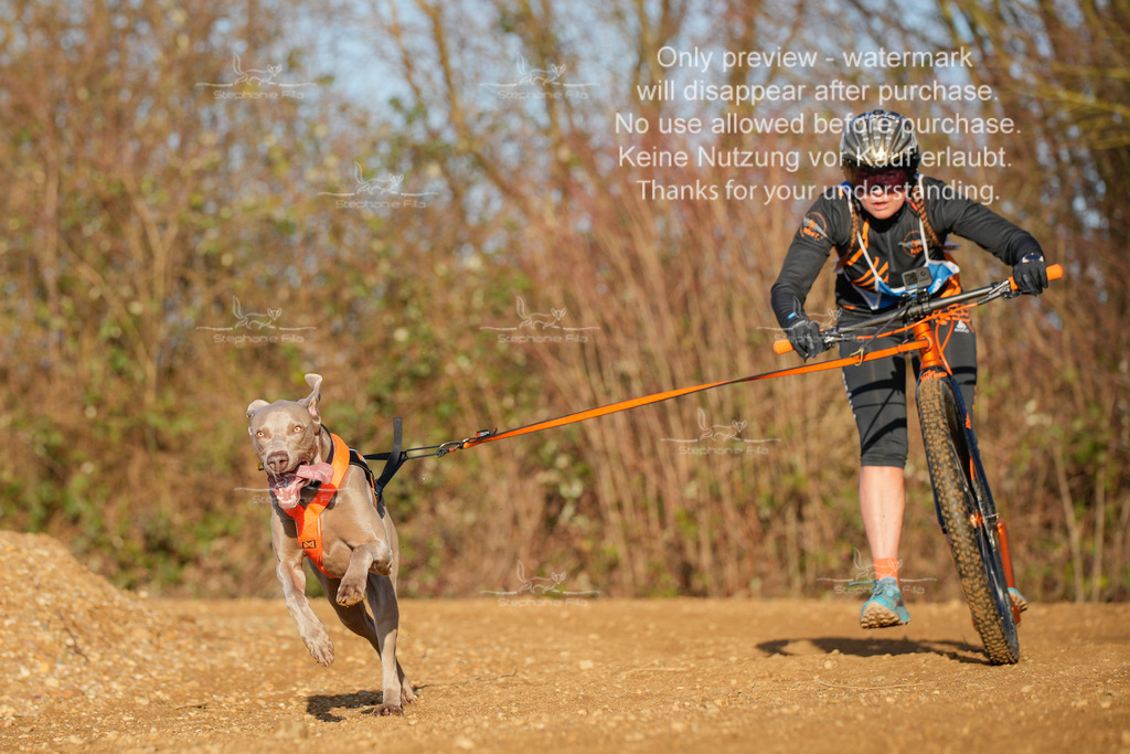 So_DVGBSP2025_Scooter (50 von 286) | stephaniefillaphotographie - Realisiert mit Pictrs.com