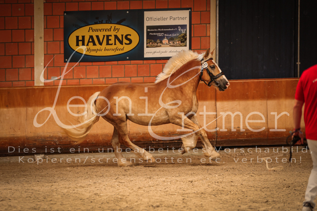 SaFL00130 | Leoni Ertmer Photography - Realisiert mit Pictrs.com