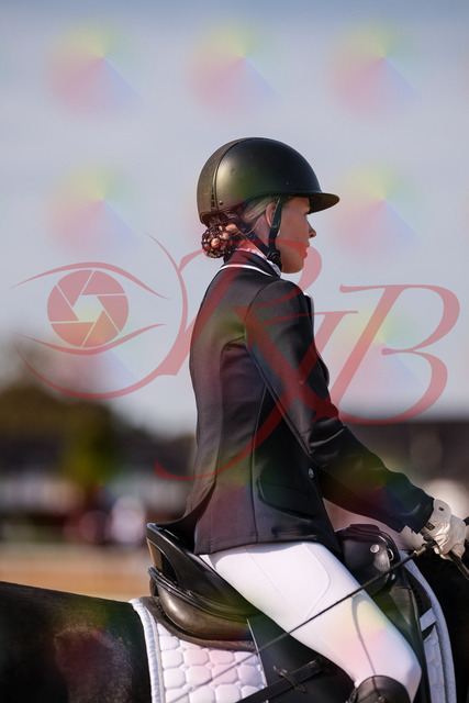 2026_10_03_Siefer-Hof_121645_Z81_20014142 | Professionelle Reitsport-, Turnier- und Eventfotografie von Robert Broda. Galerien mit ausgewählten und bearbeiteten Bildern direkt online ansehen und bestellen.
