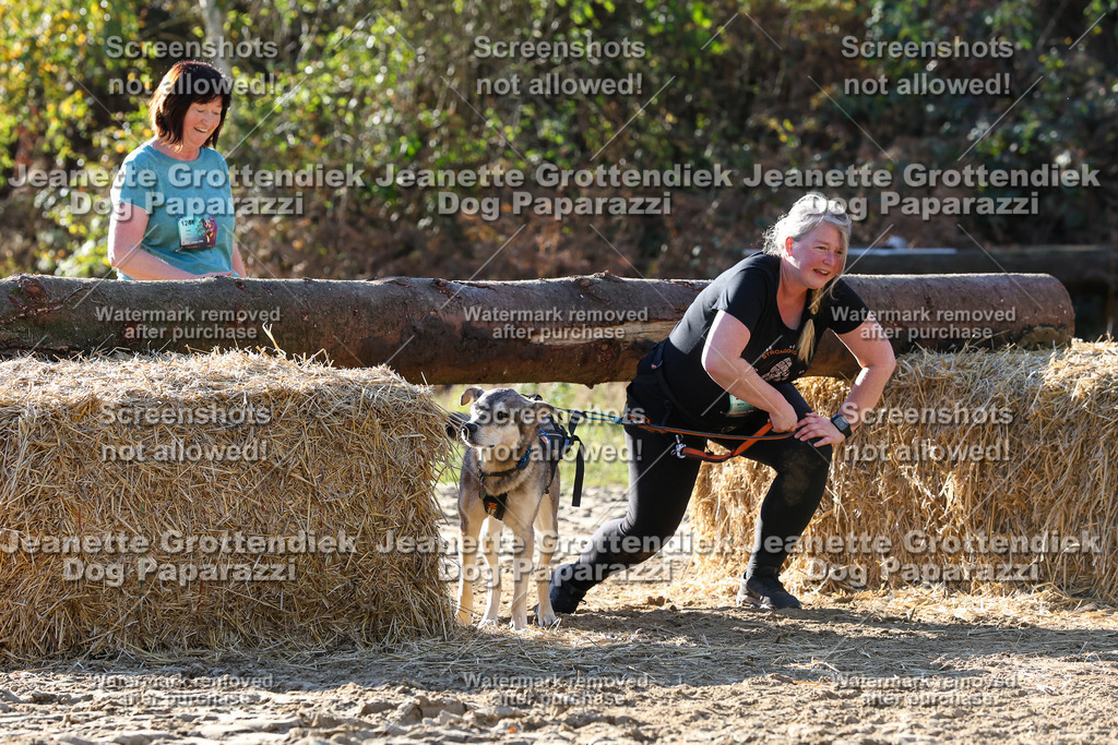 Dog Paparazzi - Strongdog 10-25-6051 | Dog Paparazzi Jeanette Grottendiek Fotografie & Videografie