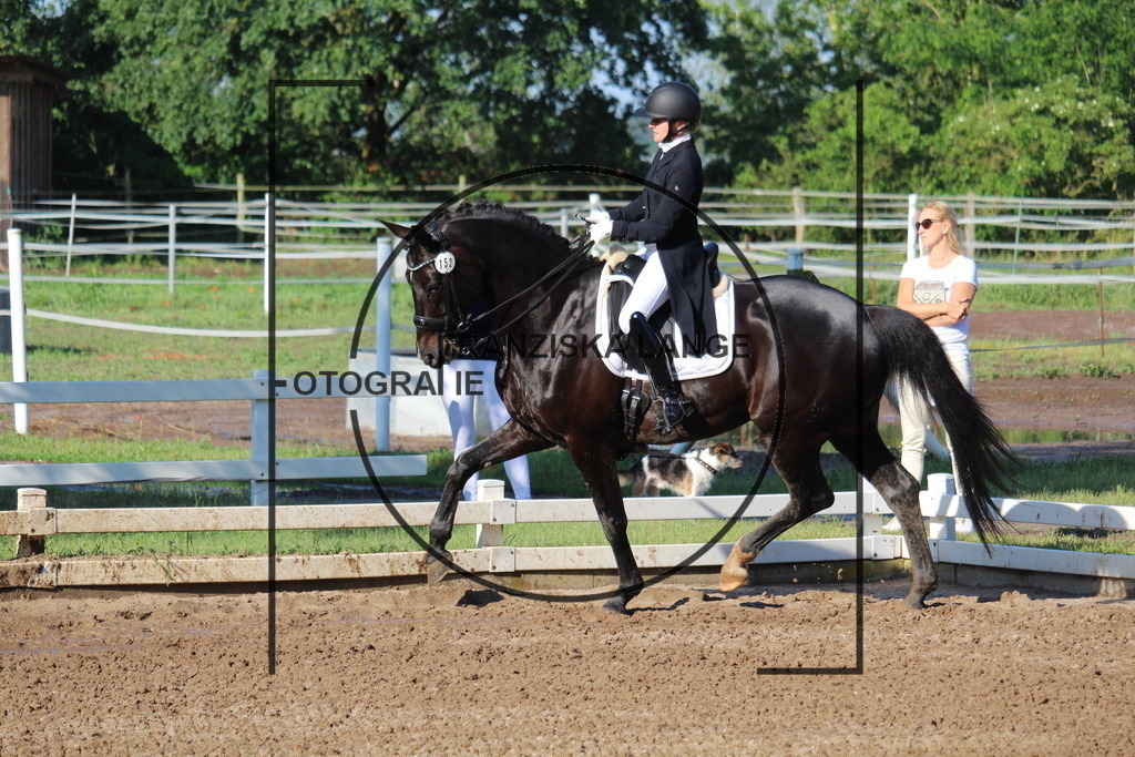 IMG_5806 | franziskalange - Realisiert mit Pictrs.com