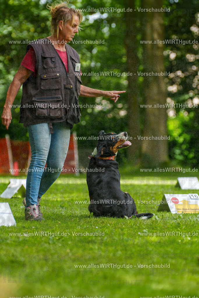 @allesWIRTHgut_Tierfotografie - www.allesWIRTHgut.de - 7R504613 | Professionelle Tierfotografie in Mönchengladbach von Daniel Wirth (allesWIRTHgut). Liebevolle & natürliche Bilder von Hunden & Katzen für unvergessliche Erinnerungen.