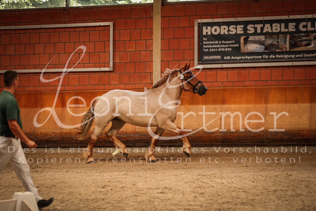 SaFL00083 | Leoni Ertmer Photography - Realisiert mit Pictrs.com