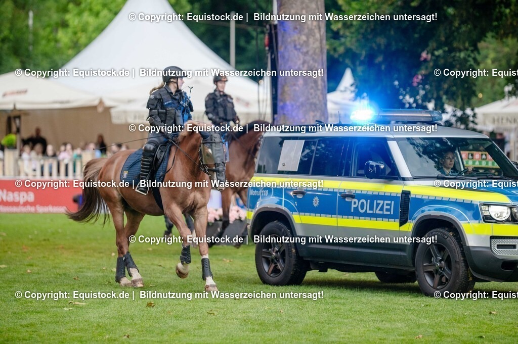 20250606_Lange-Pferdenacht_0728 | Foto: Thomas Hartig