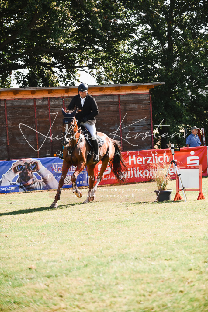 DSC_2476 | Pferde- und Turnierfotografie in Westsachsen. Pferdeportraits, Auftragszeichnungen und intuitive Kunst.