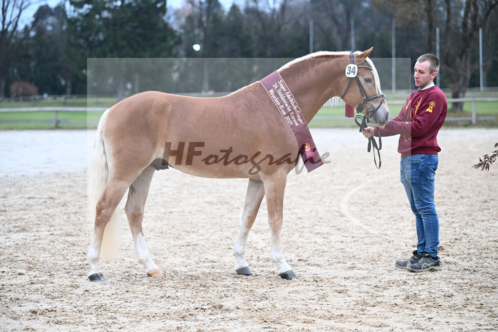 Kat-Nr. 34 nn v. Starino I_Grimminger_48251919 | hf-fotografie - Realisiert mit Pictrs.com