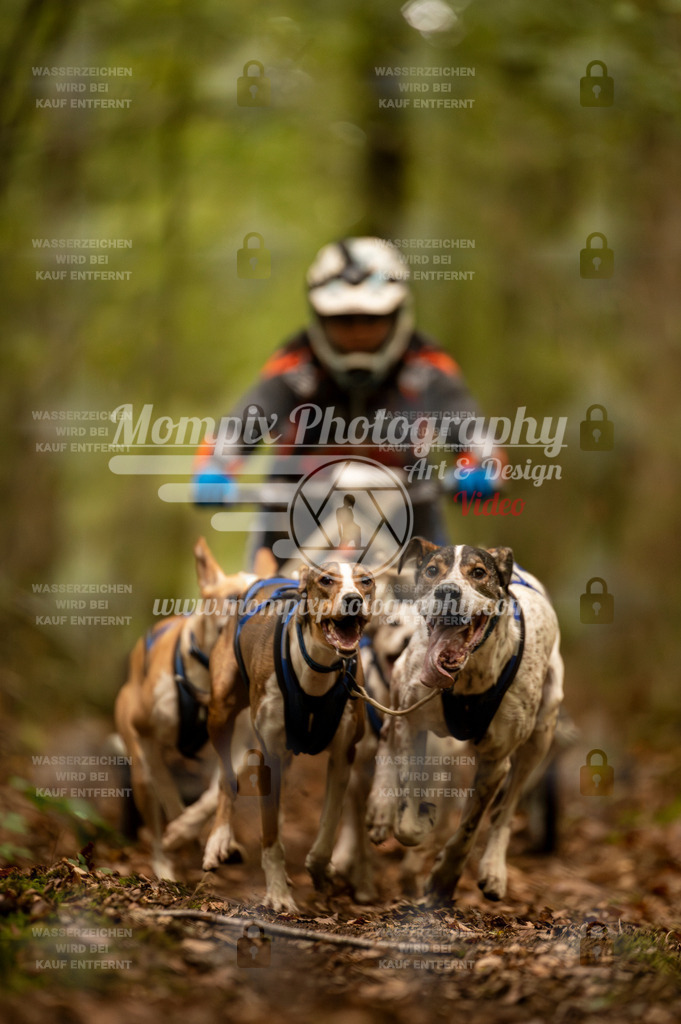 TSB_2023_E1_Kart_Rig-8 | PayLife
