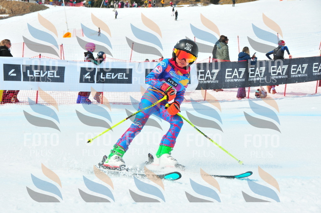 DSC_2885 | holidayphoto