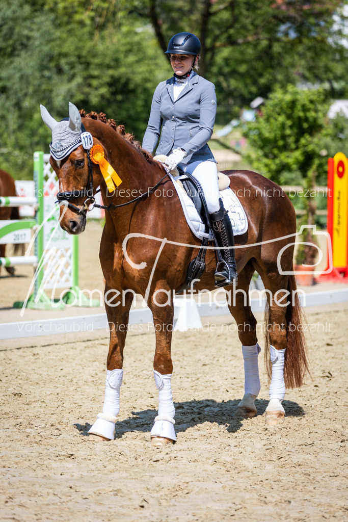 Donop24-L-Dre-130 | MomenTaufnahmen Pferdesportfotos